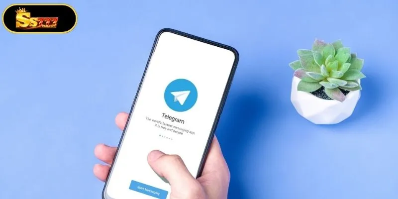 Using Telegram